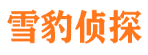 沧县外遇出轨调查取证